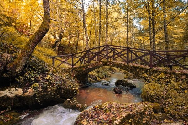 manastir raća i šetna staza rača lađevac (25)