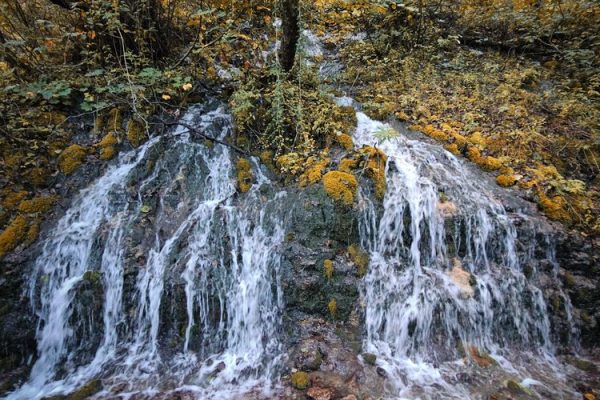 manastir raća i šetna staza rača lađevac (38)