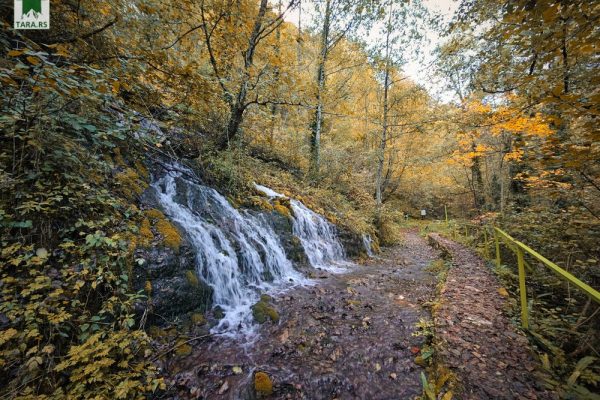 manastir raća i šetna staza rača lađevac (40)