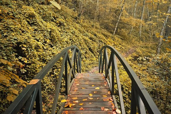 manastir raća i šetna staza rača lađevac (42)