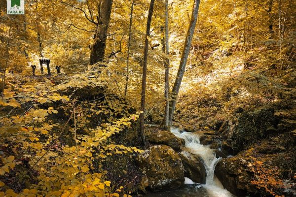 manastir raća i šetna staza rača lađevac (44)