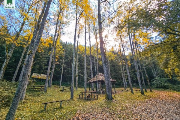 manastir raća i šetna staza rača lađevac (67)