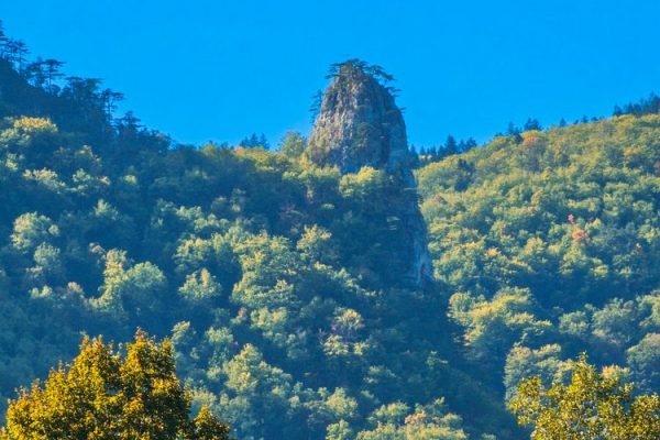 manastir raća i šetna staza rača lađevac (70)