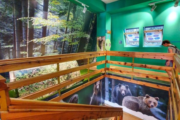 mitrovac tara info centar (2)