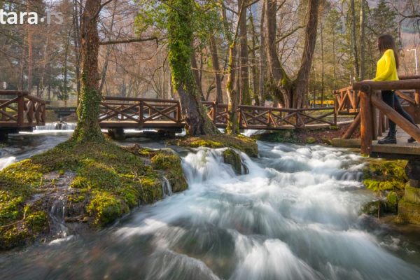 perucac-vrelo-reka-godina-nacionalni-park-tara