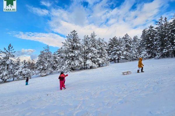 planina-tara-zimovanje-2024-smestaj (31)