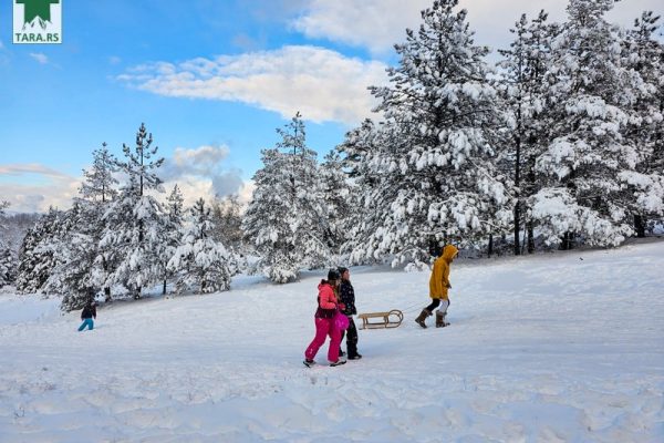 planina-tara-zimovanje-2024-smestaj (34)