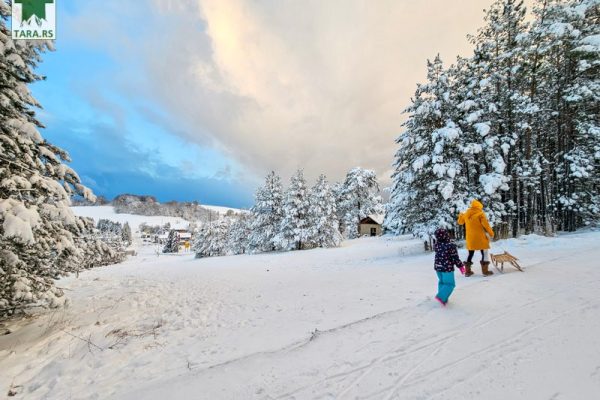 planina-tara-zimovanje-2024-smestaj (5)