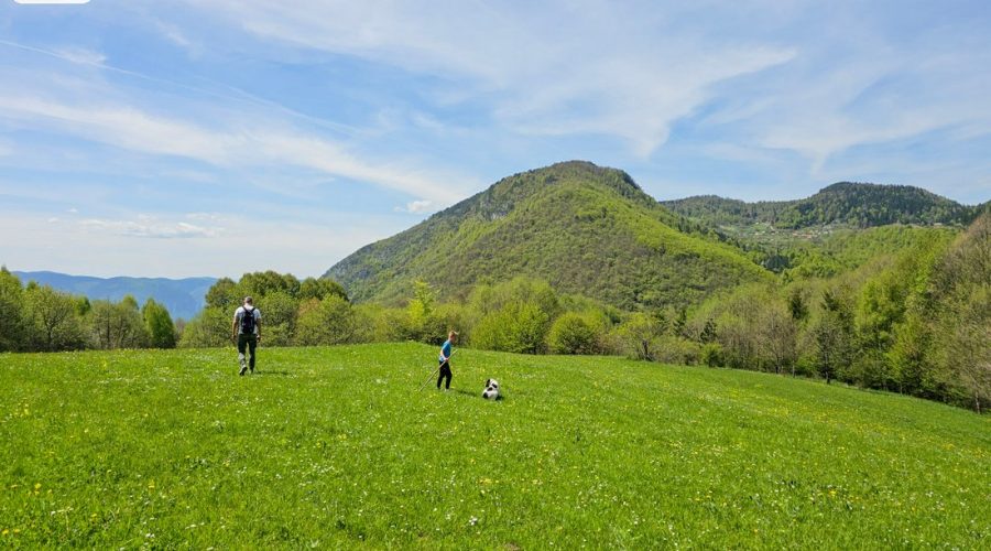 proleće-i-leto-na-tari-smeštaj-odmor-aktivnosti (8)