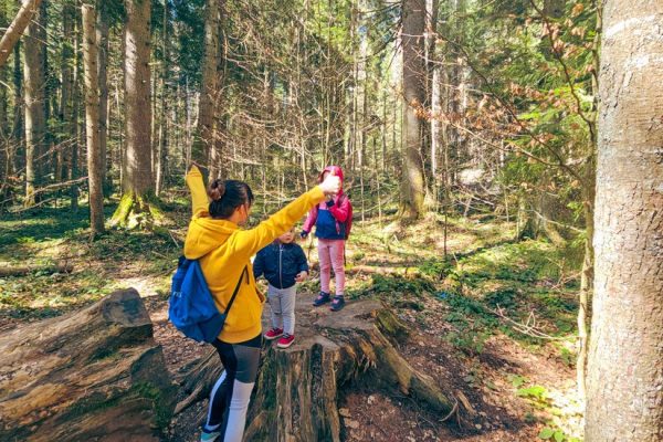 rezervat prirode crveni potok sa tepih livadom mitrovac na tari (10)