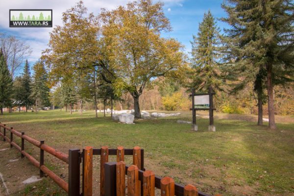 tara-perućac-stećci-bogumili-mramorje-unesco (1)