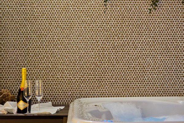 tara spa kaludjerske bare sauna djakuzi kurta (3)