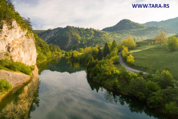 tara-zaovine-jezero-kupanje-letovanje-11