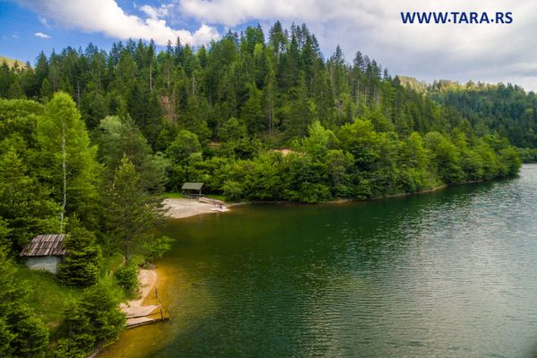 tara-zaovine-jezero-kupanje-letovanje-13