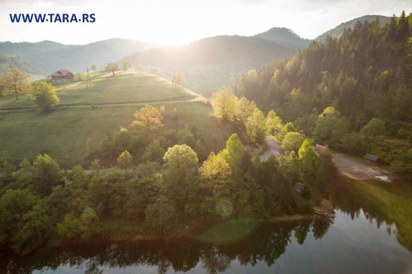 tara-zaovine-jezero-kupanje-letovanje-14