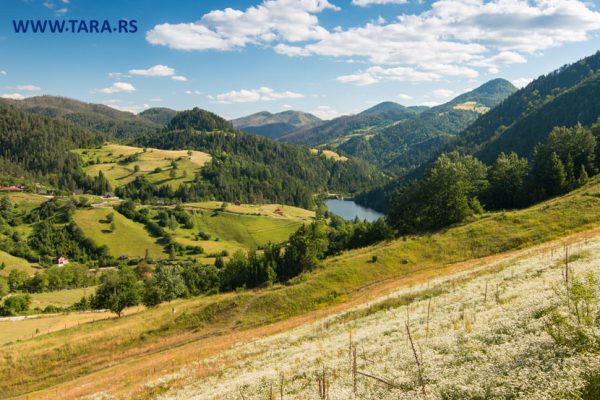 tara-zaovine-jezero-kupanje-letovanje-15