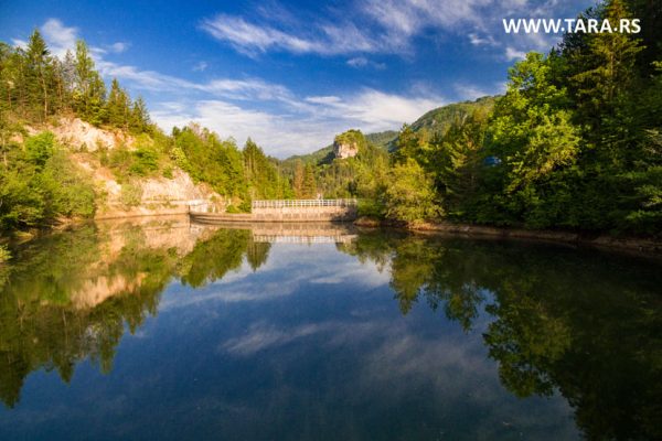 tara-zaovine-jezero-kupanje-letovanje-16