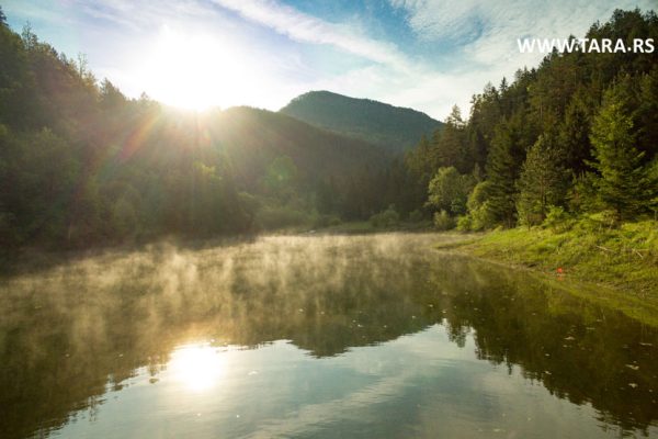 tara-zaovine-jezero-kupanje-letovanje-19
