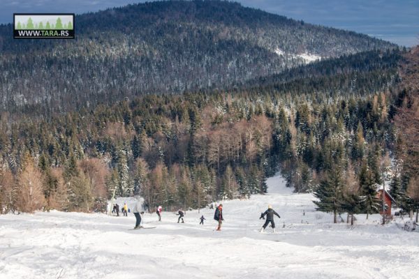 tara-zaovine-sekulic-skijanje-ski-staza (6)