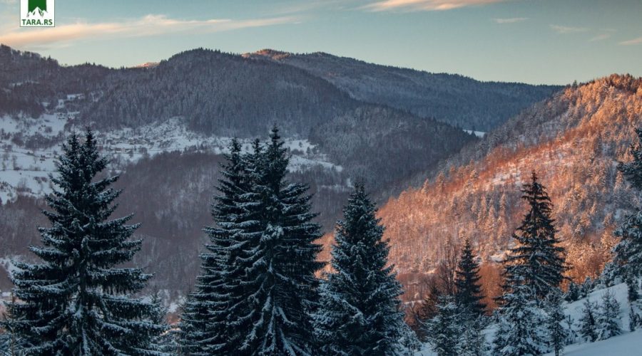zimovanje-na-planini-tari-2026 (2)