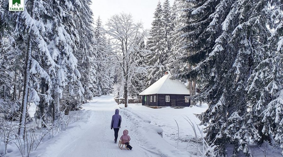 zimovanje-na-planini-tari-2026 (3)